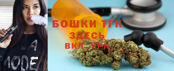 индика Медвежьегорск