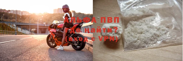индика Медвежьегорск