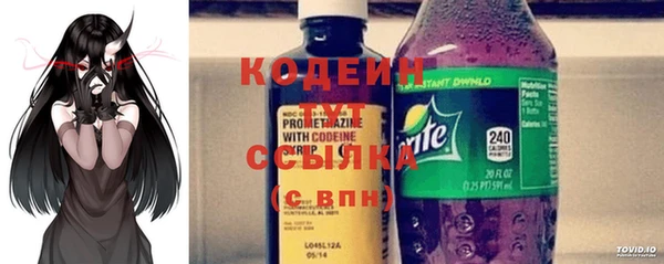 индика Медвежьегорск