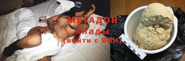 индика Медвежьегорск