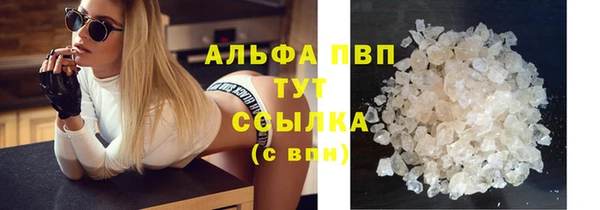 индика Медвежьегорск