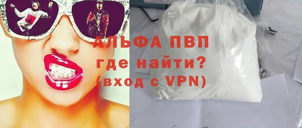 индика Медвежьегорск