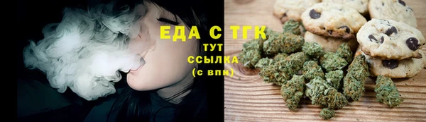 индика Медвежьегорск