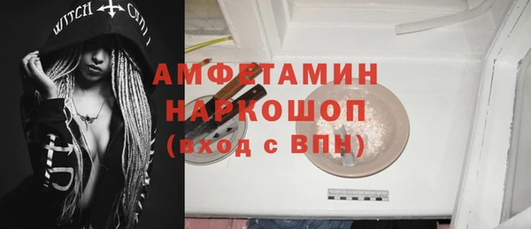 индика Медвежьегорск