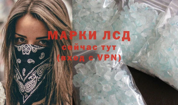 индика Медвежьегорск