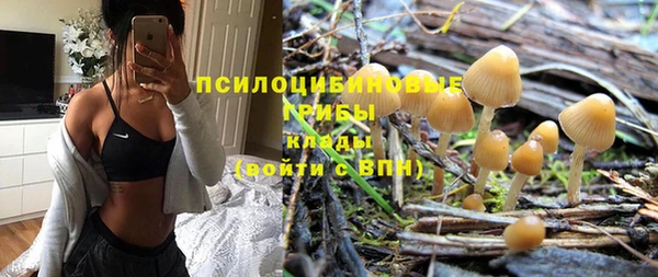 тгк Медногорск
