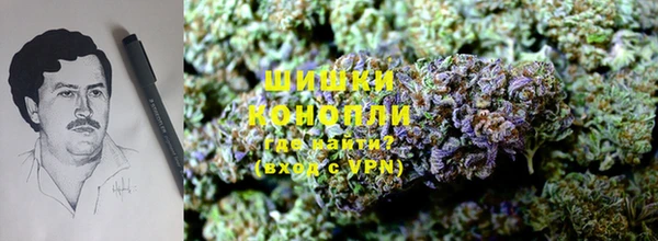 индика Медвежьегорск