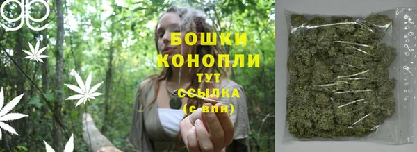 индика Медвежьегорск