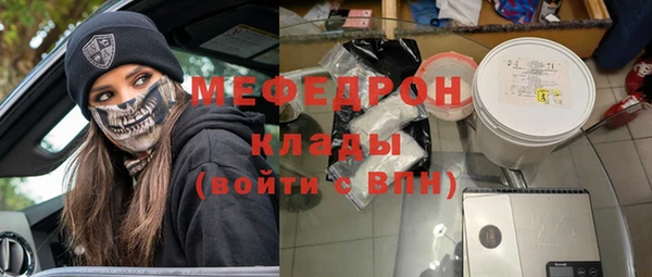 индика Медвежьегорск