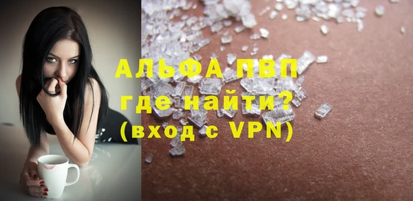 индика Медвежьегорск