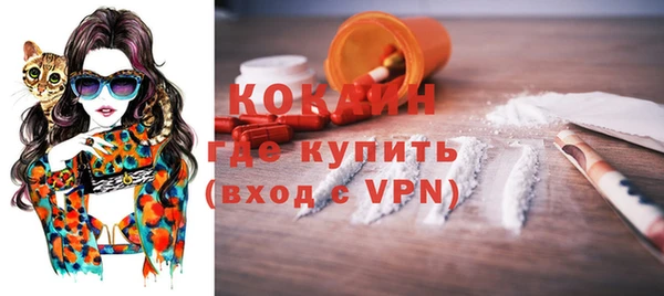 индика Медвежьегорск