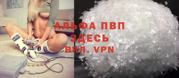 индика Медвежьегорск