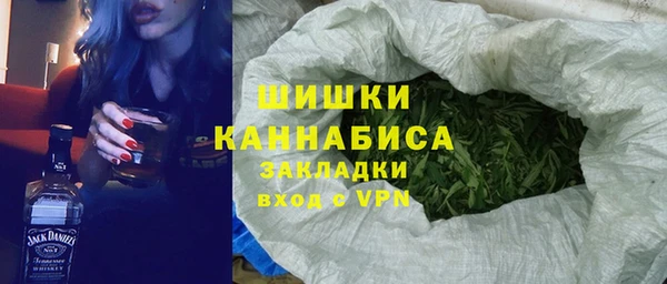 индика Медвежьегорск