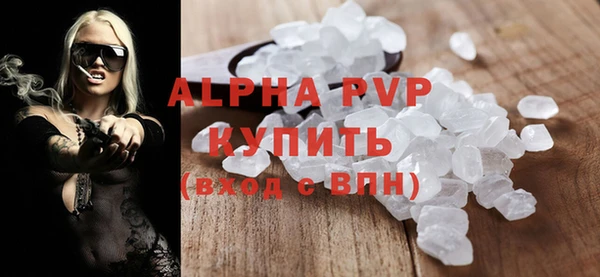 индика Медвежьегорск