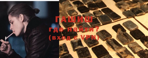 индика Медвежьегорск
