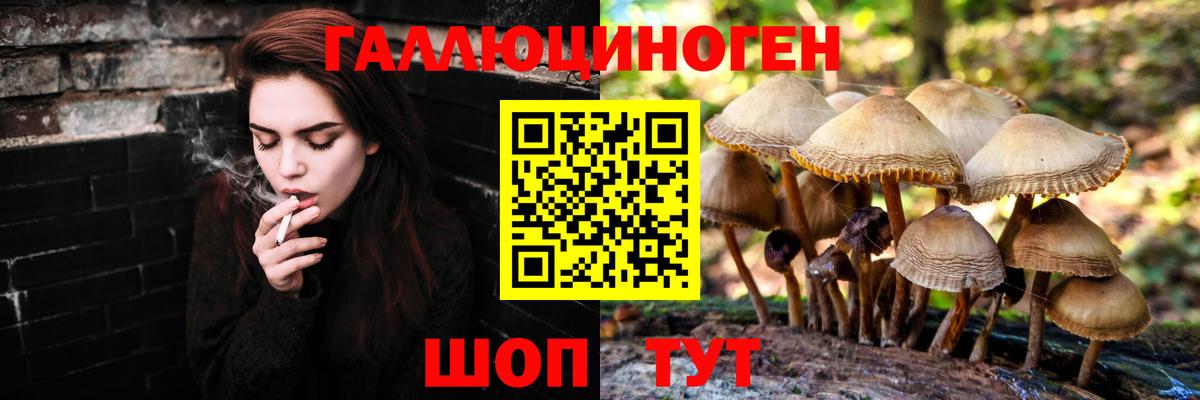 Галлюциногенные грибы ЛСД Холмск
