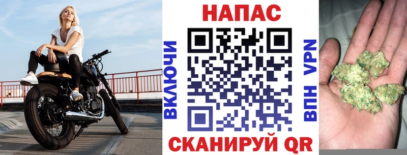 Конопля марихуана  Холмск 